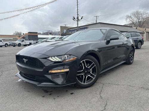 2022 Ford Mustang 