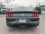 2022 Ford Mustang (1FA6P8TH8N5) with an 4 2.3 L engine, Manual transmission, located at 3240 Washington Blvd., Ogden, 84401, (801) 621-7177, 41.204967, -111.969994 - *2022 Ford Mustang EcoBoost Manual*This one-owner, no accident pony car is a blast to drive with its 2.3 liter turbocharged engine and 6-speed manual transmission, providing both power and fuel economy! This head-turner comes with all of the conveniences you'll want; bluetooth stereo, 8 touchscreen - Photo#5